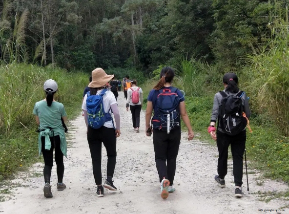 腾博汇游戏官网·(中国)专业服务,诚信为本