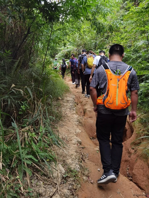 腾博汇游戏官网·(中国)专业服务,诚信为本