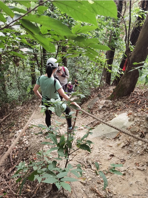 腾博汇游戏官网·(中国)专业服务,诚信为本